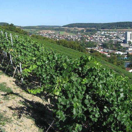 Weinstube Schwalbennest Karlstadt Exterior foto
