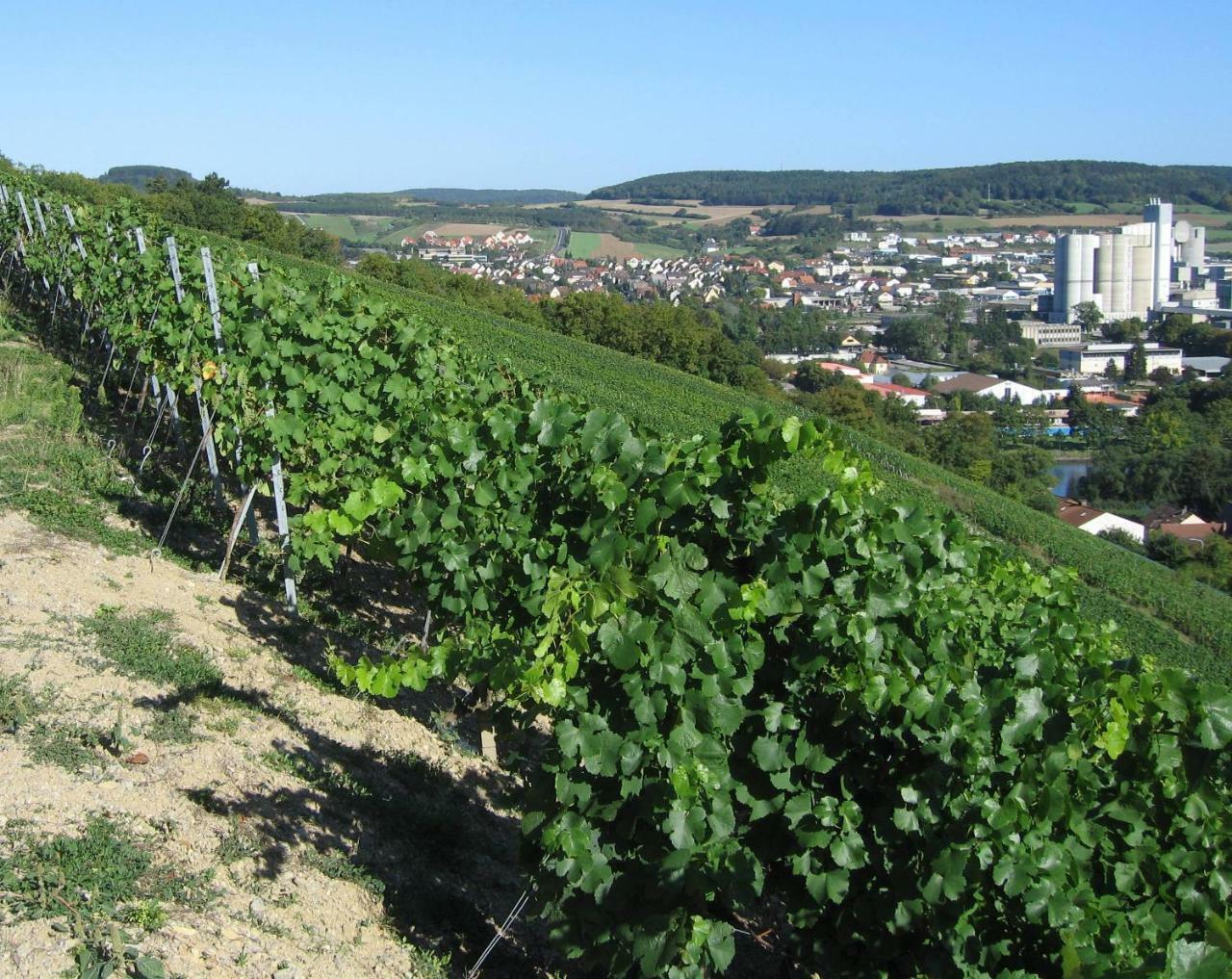 Weinstube Schwalbennest Karlstadt Exterior foto