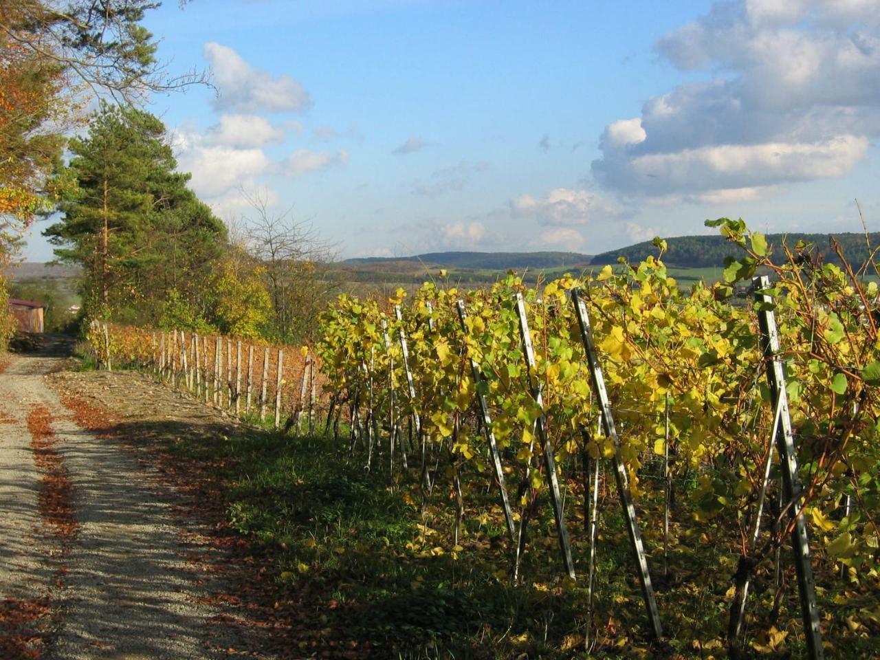 Weinstube Schwalbennest Karlstadt Exterior foto